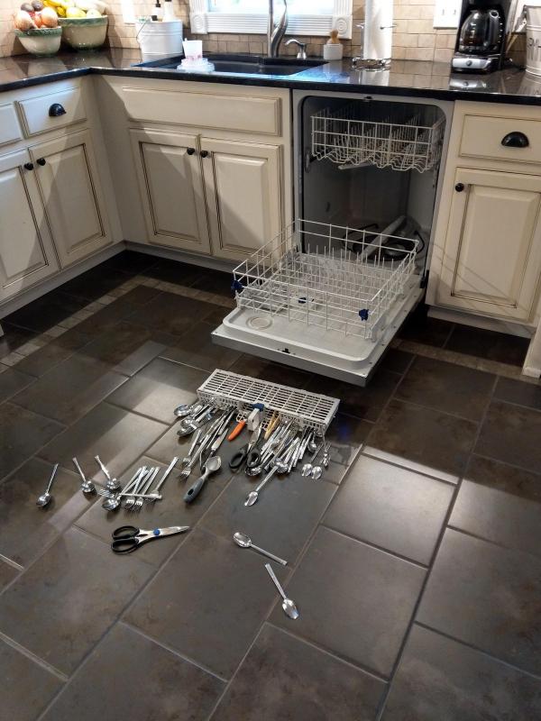 ������ ��������