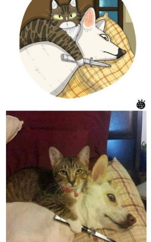 ������ ��������