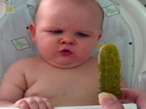 ������ ��������