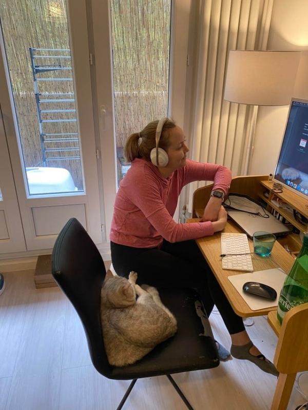 ������ ��������