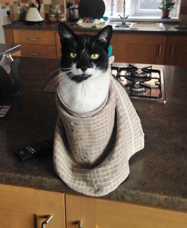 ������ ��������