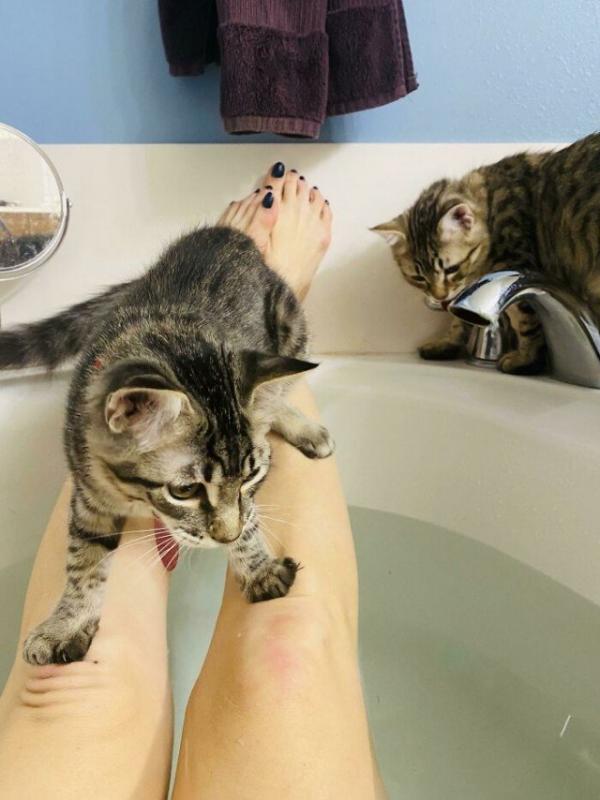 ������ ��������