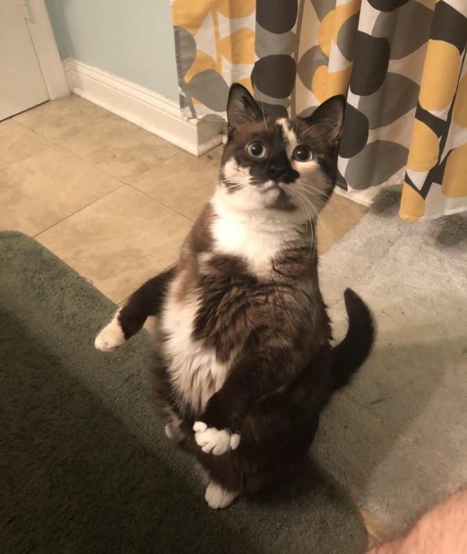 ������ ��������