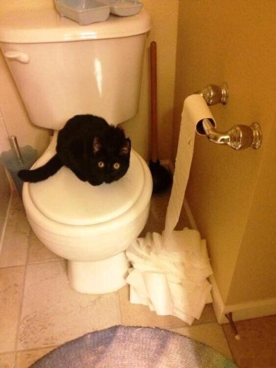 ������ ��������