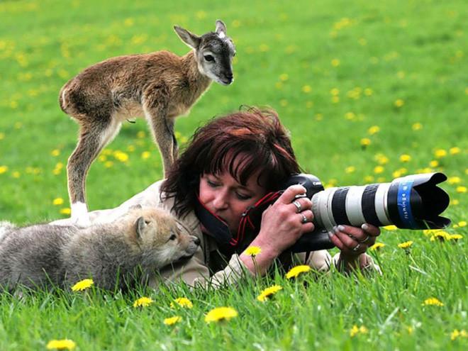 ������ ��������