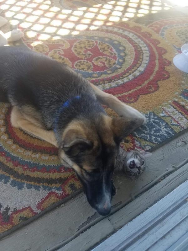 ������ ��������