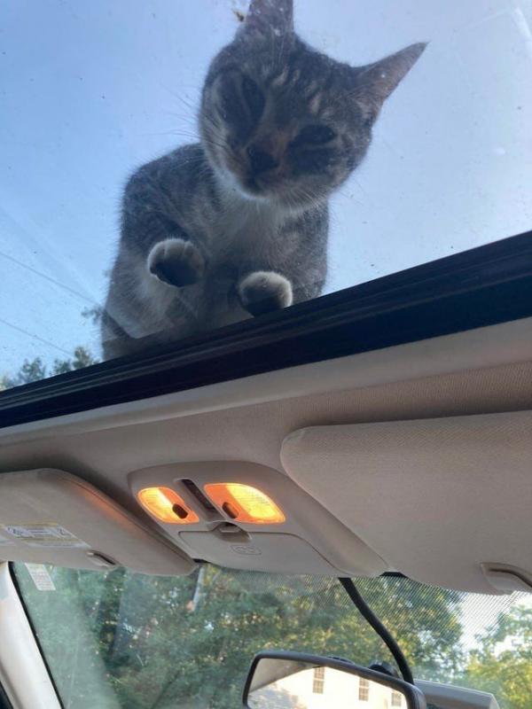 ������ ��������