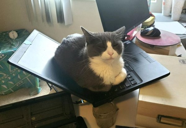 ������ ��������