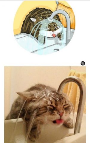 ������ ��������