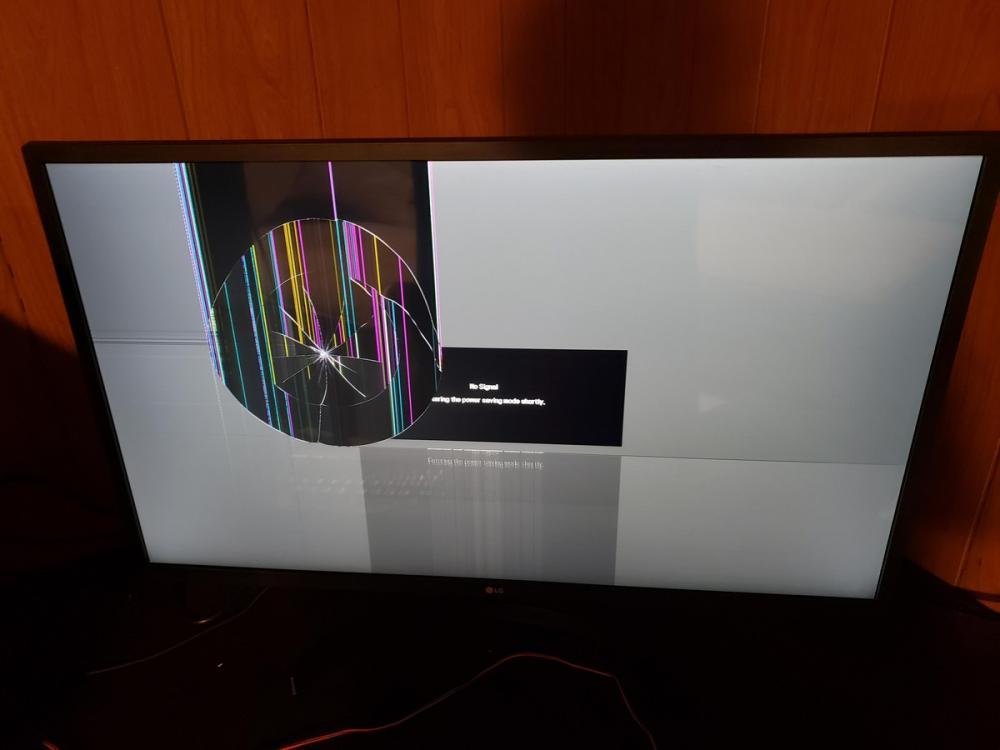 ������ ��������