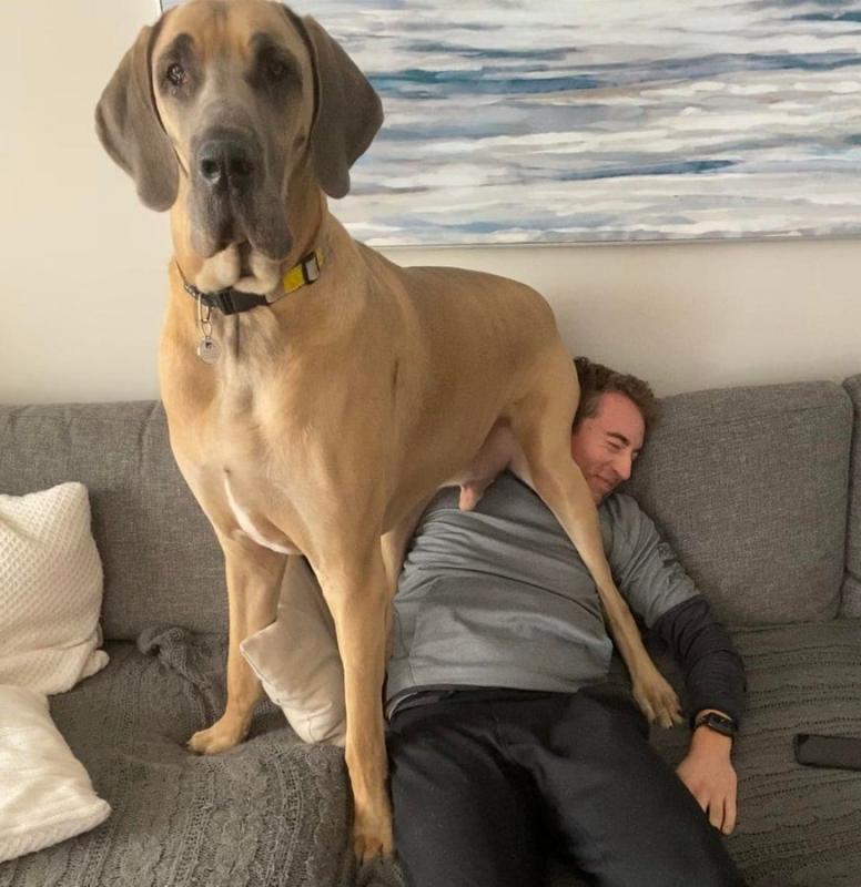 ������ ��������