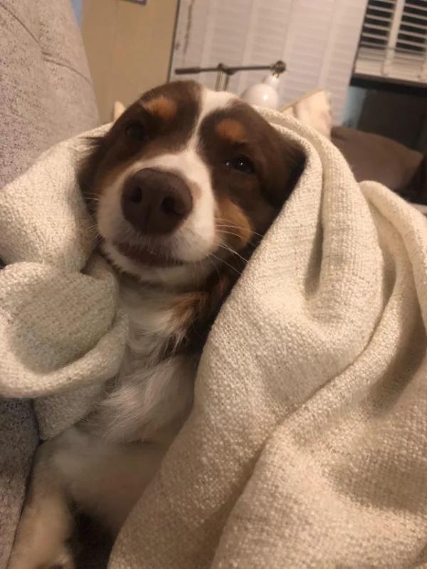 ������ ��������