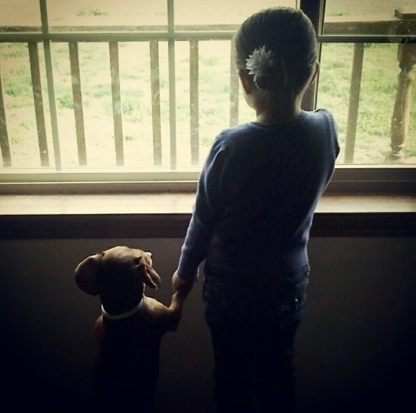 ������ ��������