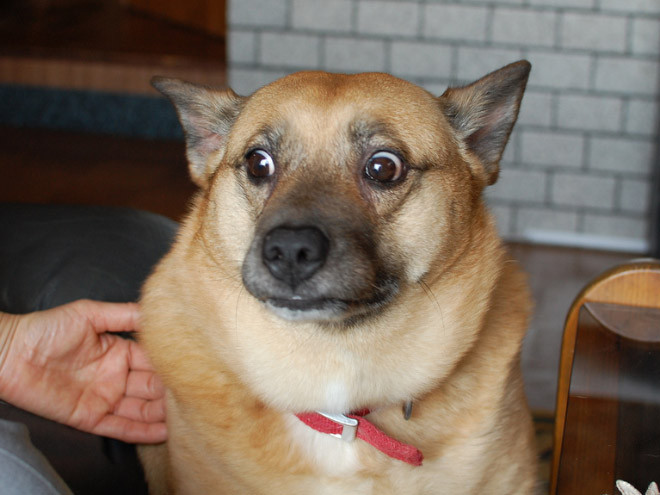 ������ ��������