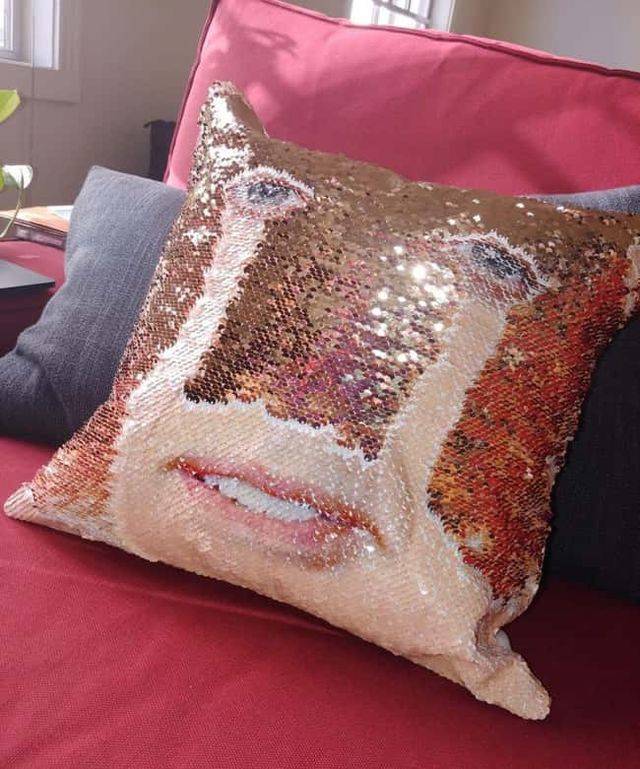 ������ ��������