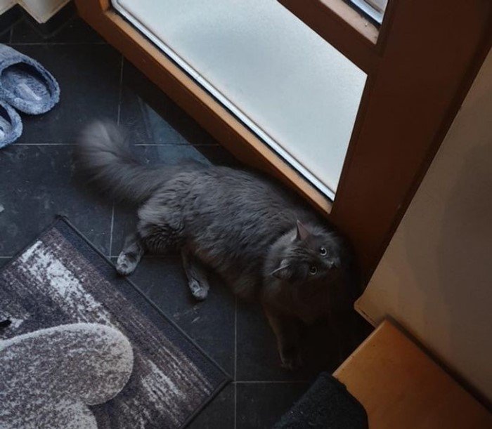 ������ ��������