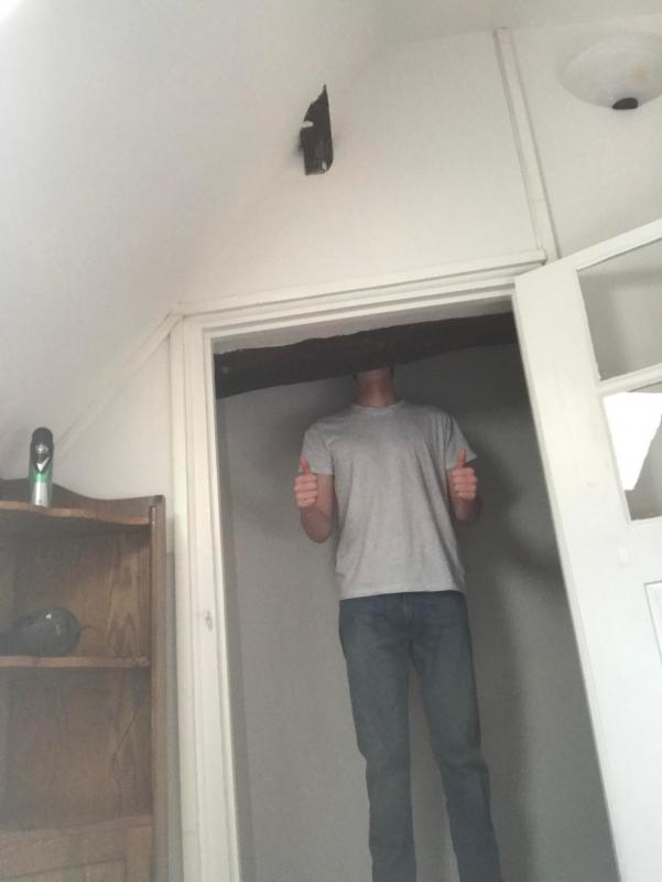 ������ ��������