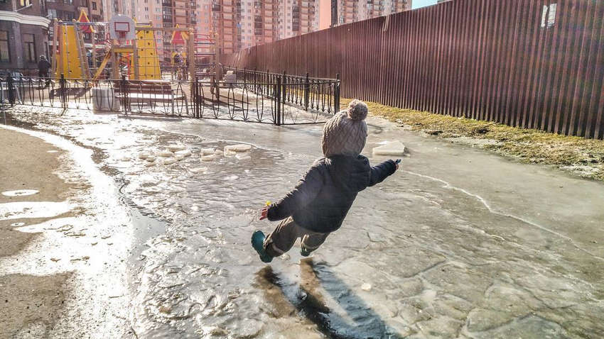 ������ ��������