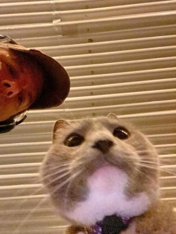 ������ ��������