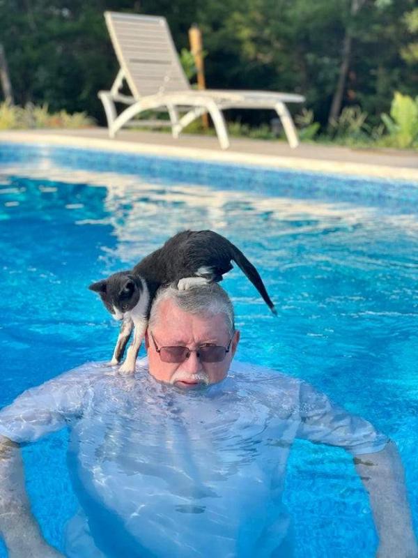 ������ ��������