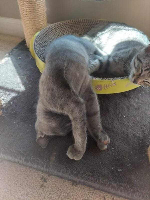 ������ ��������