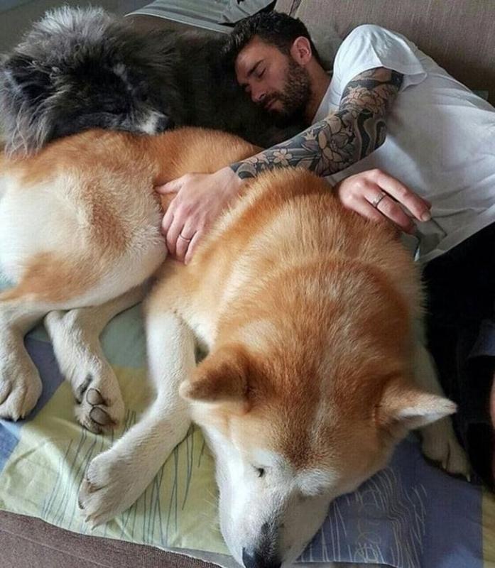 ������ ��������