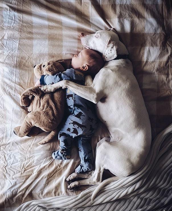 ������ ��������