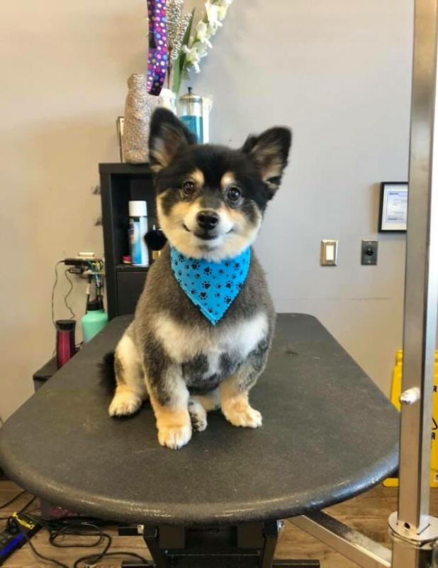 ������ ��������