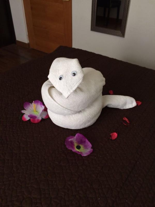 ������ ��������