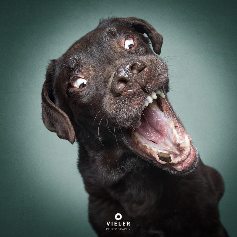 ������ ��������