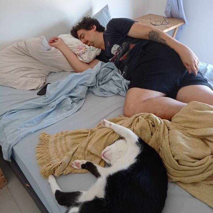 ������ ��������