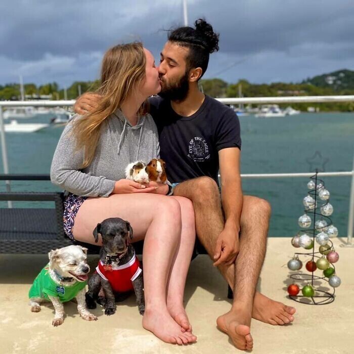������ ��������