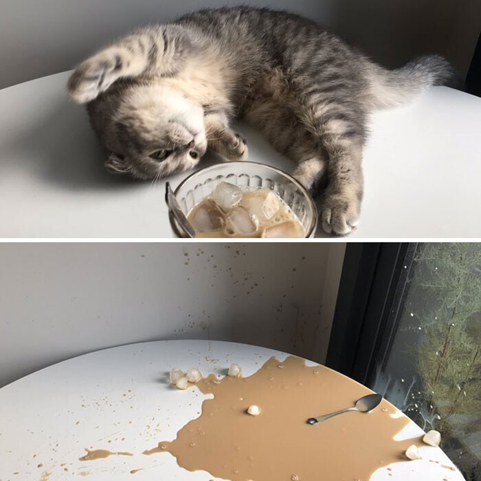 ������ ��������