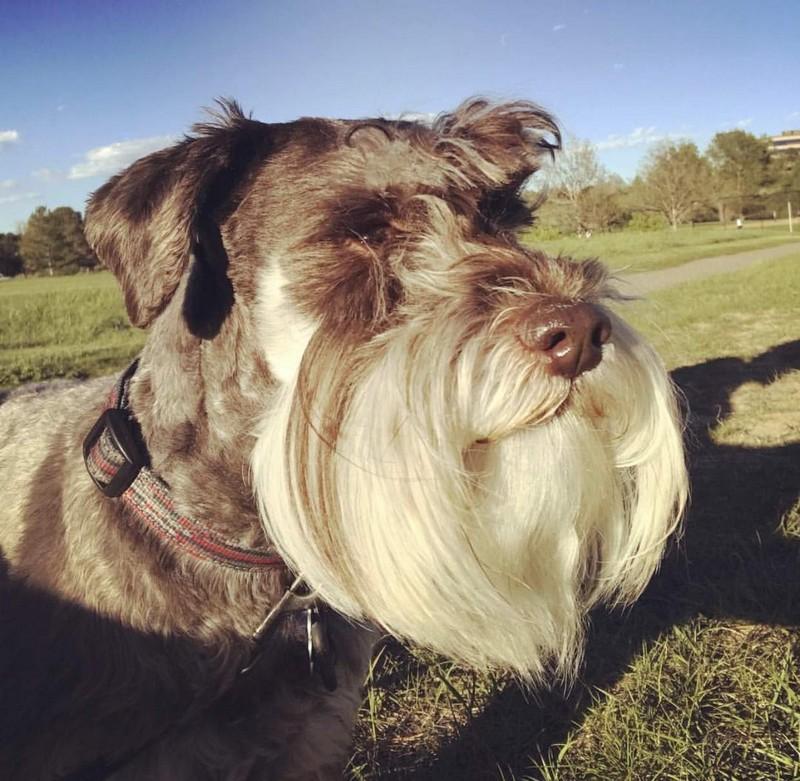 ������ ��������