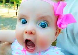 ������ ��������