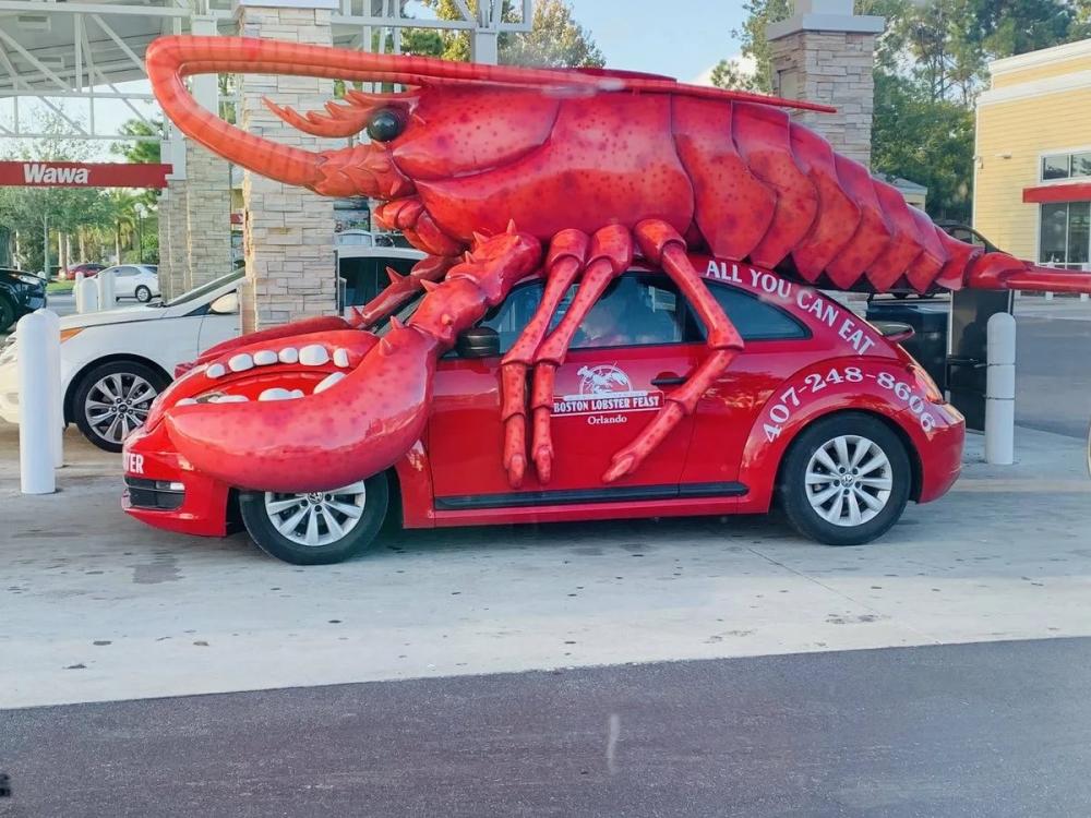 ������ ��������