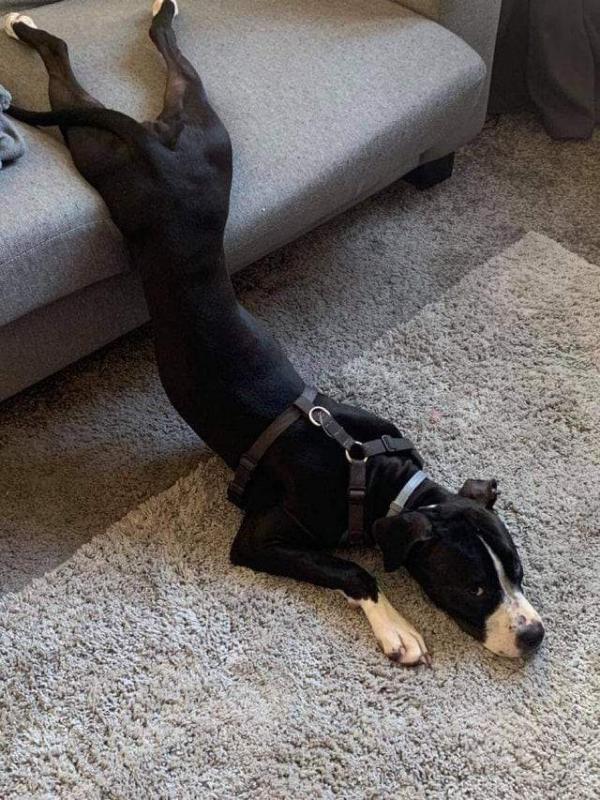 ������ ��������