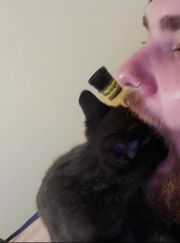 ������ ��������