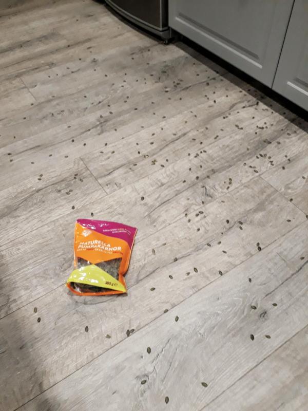 ������ ��������