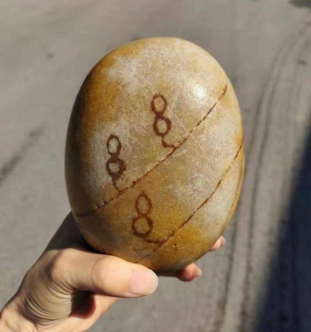 ������ ��������