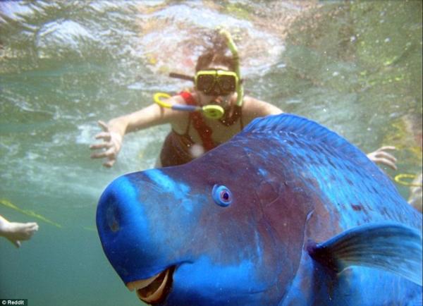 ������ ��������