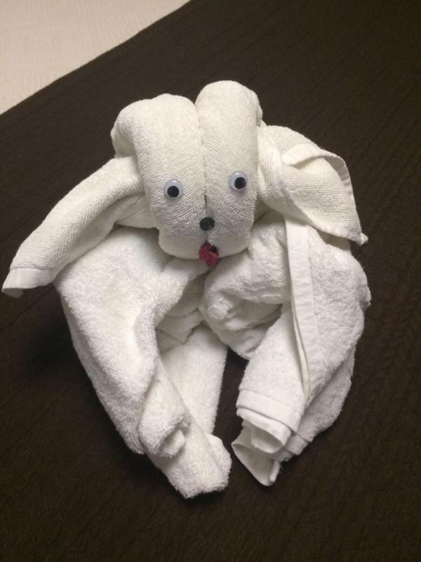 ������ ��������