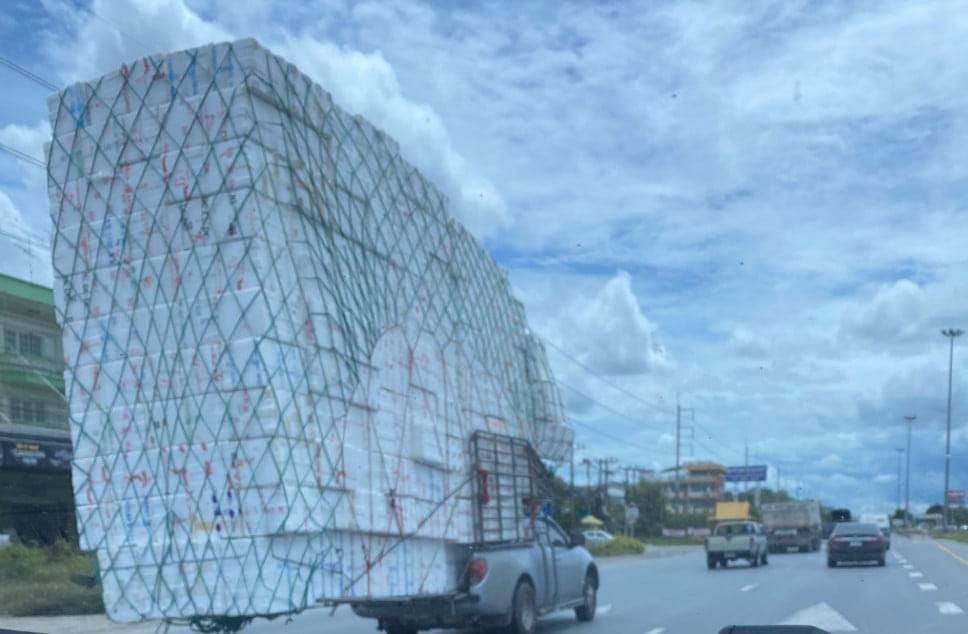 ������ ��������