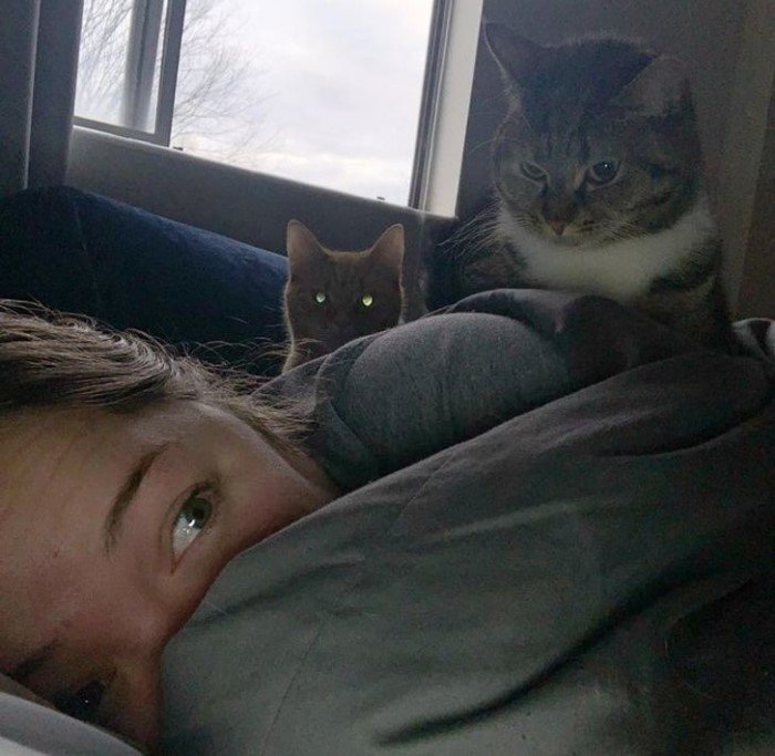 ������ ��������