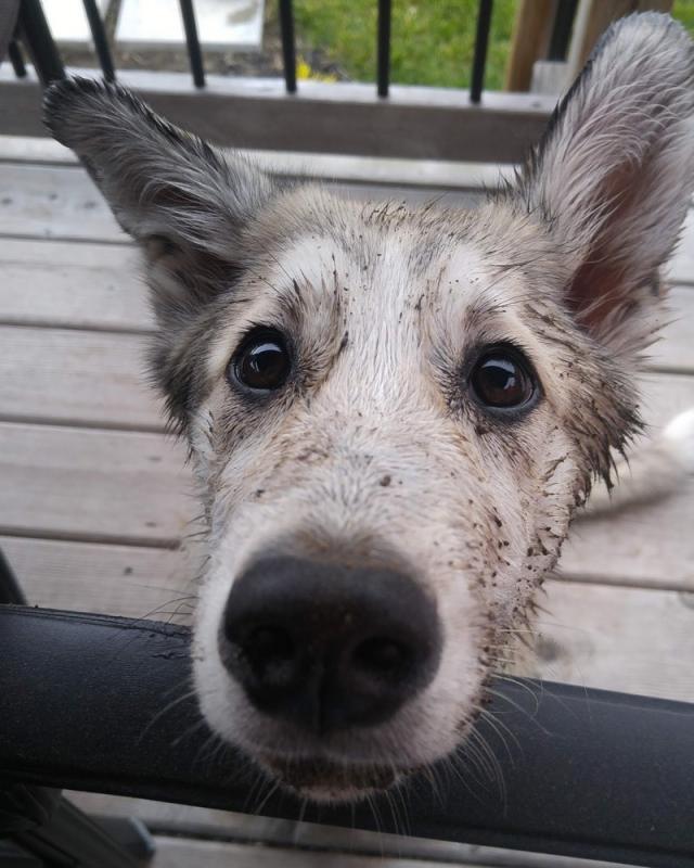 ������ ��������