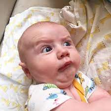 ������ ��������