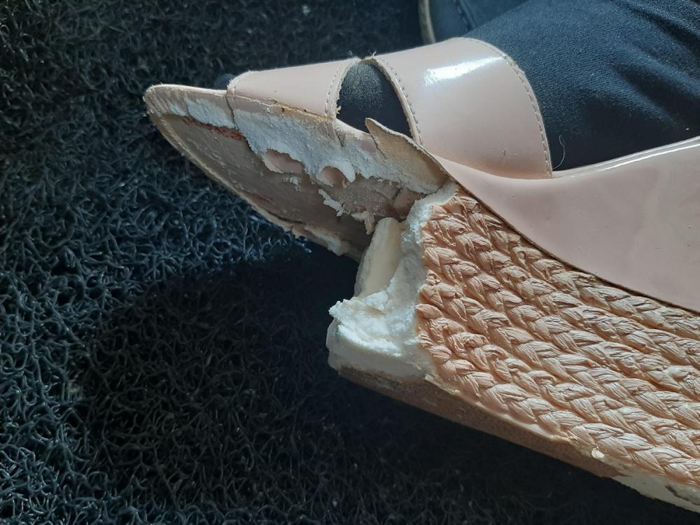 ������ ��������