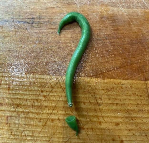 ������ ��������