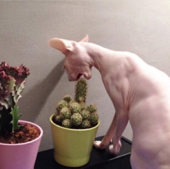 ������ ��������