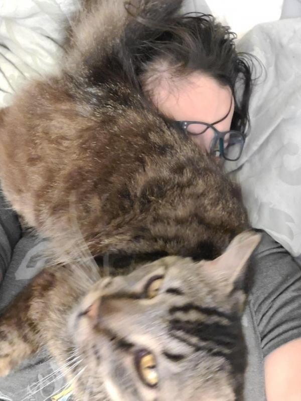 ������ ��������